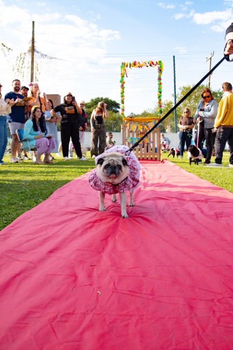 Foto do Pugnic 2026